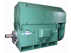Y4503-2/900KWYKK系列高压电机